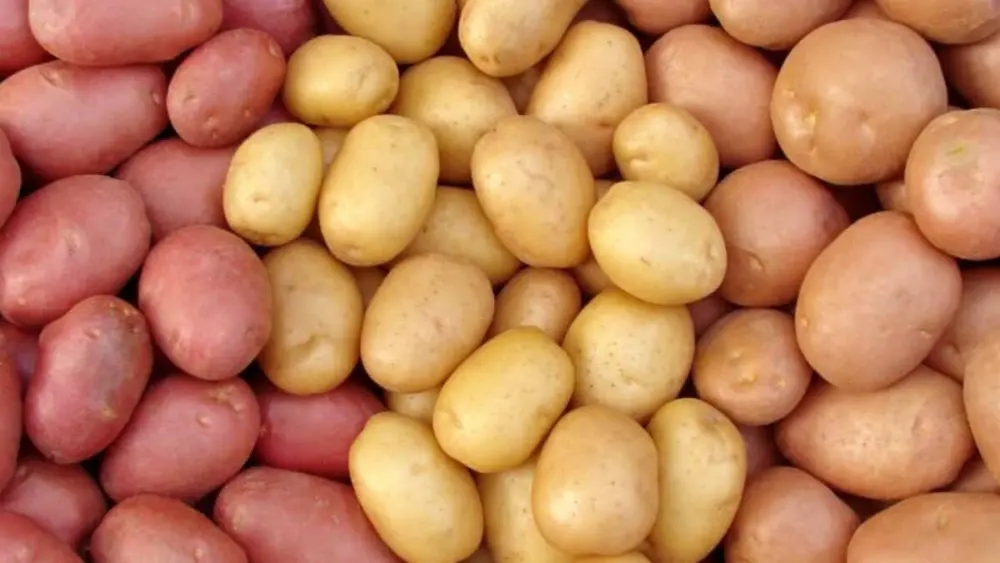 potatoes-jpg