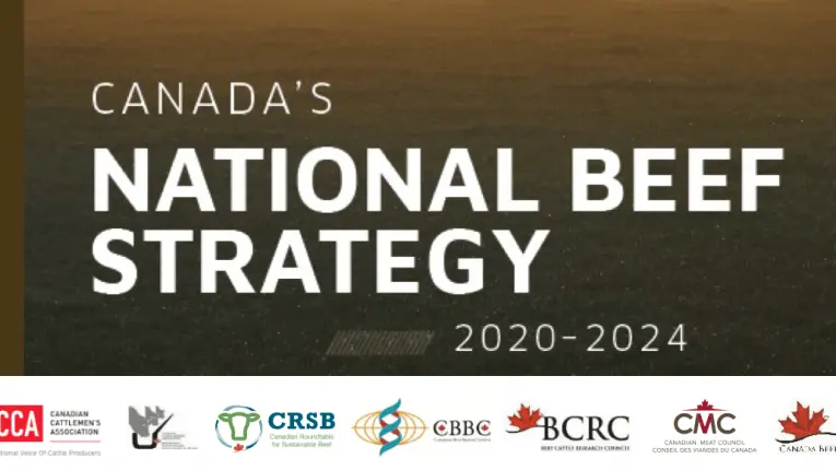 screen-shot-2019-10-01-at-11__fillwyi3njuilci0mzaixq-14-15-am-png