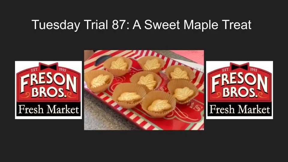 tuesday-trial-6