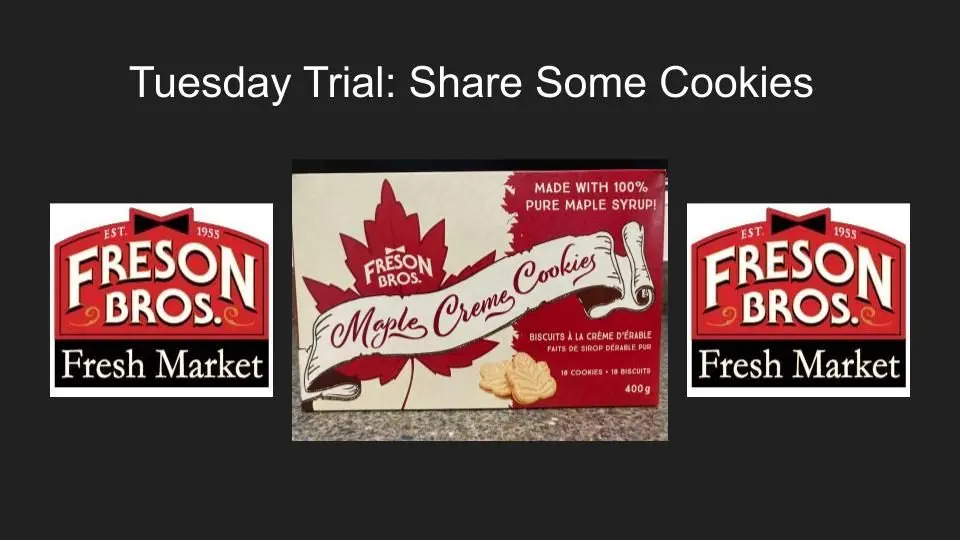 tuesday-trial-43
