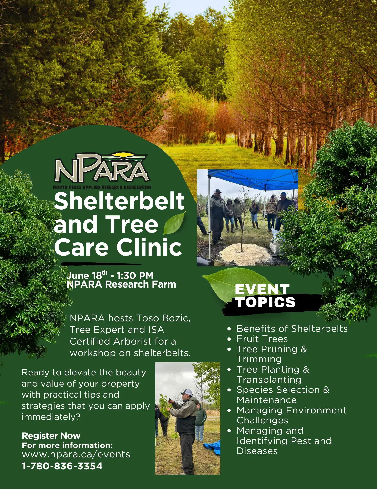 npara-shelterbelt-tree-care-clinic