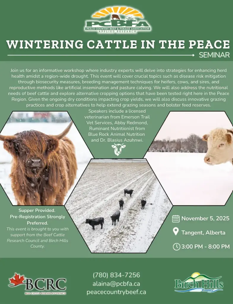 pcbfa-wintering-cattle-png