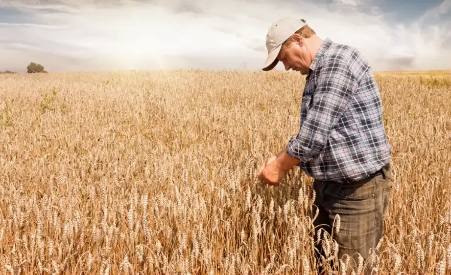 npara-in-the-know-do-more-ag-foundation-png-2