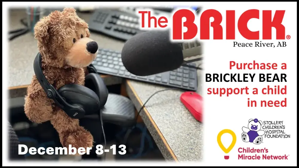 brickely-bear-flipper-2025-png-4