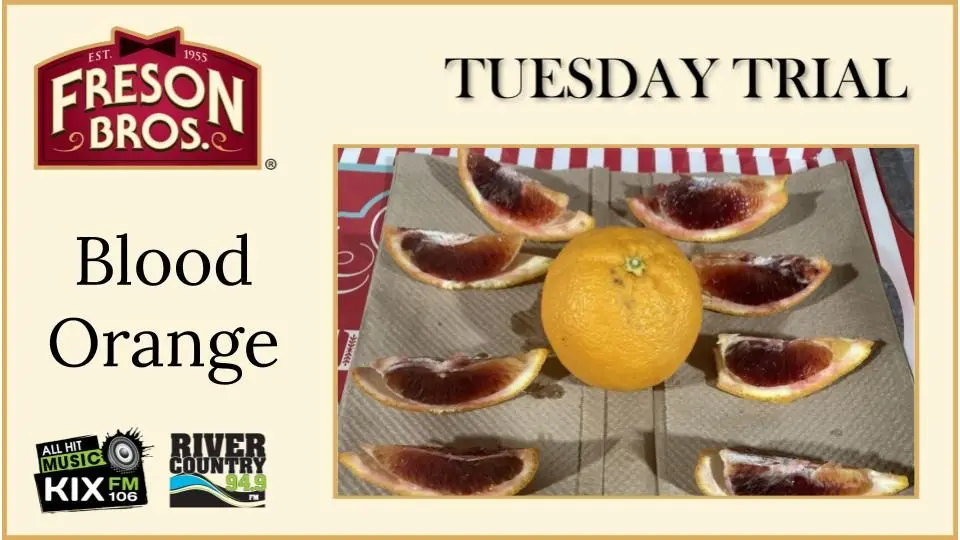 untitled-presentation-9