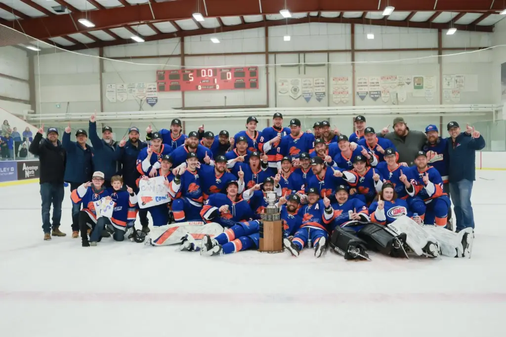 comets-nphl-title-jpg