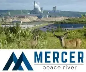mercer-jpg-4