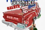 mn-country-salute-cd-vol-10-2