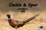 header-cackle-and-spur