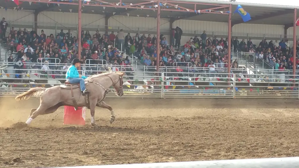 hp-rodeo
