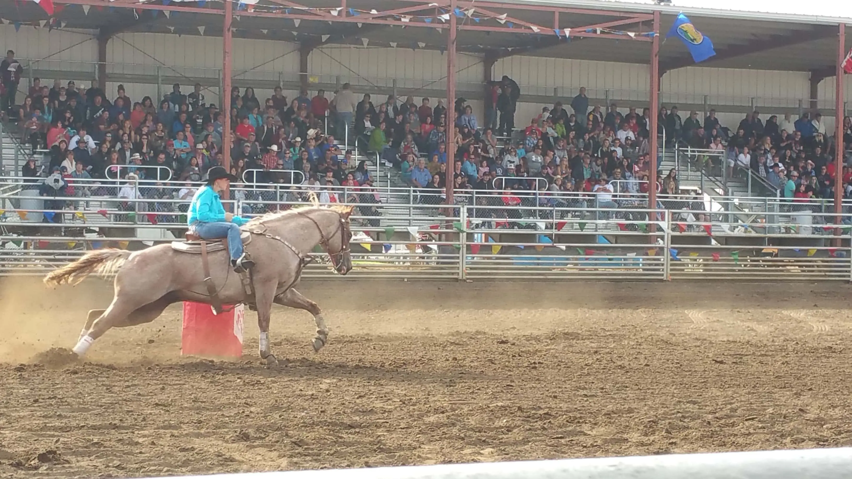 hp-rodeo