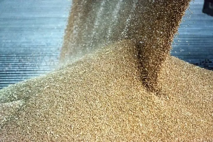 grains-cereal-at-a-agricultural-silo
