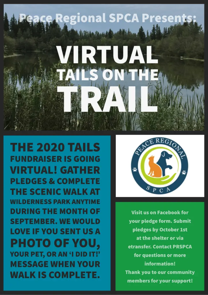 tails-on-the-trail