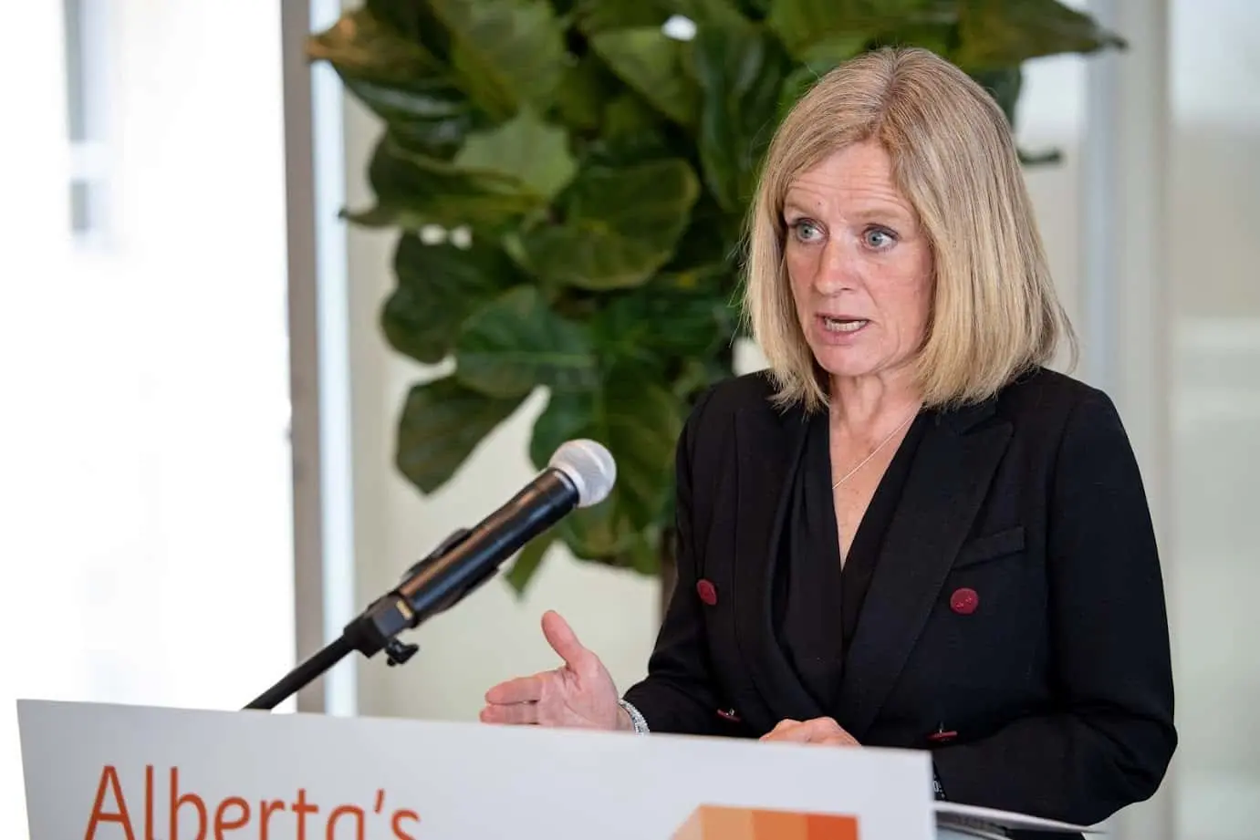 notley-0512-jpg-3