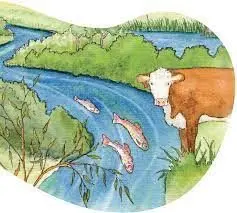 cows-and-fish