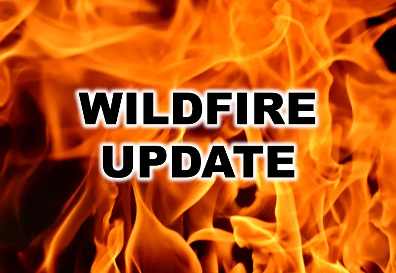 wildfire-flipper-2