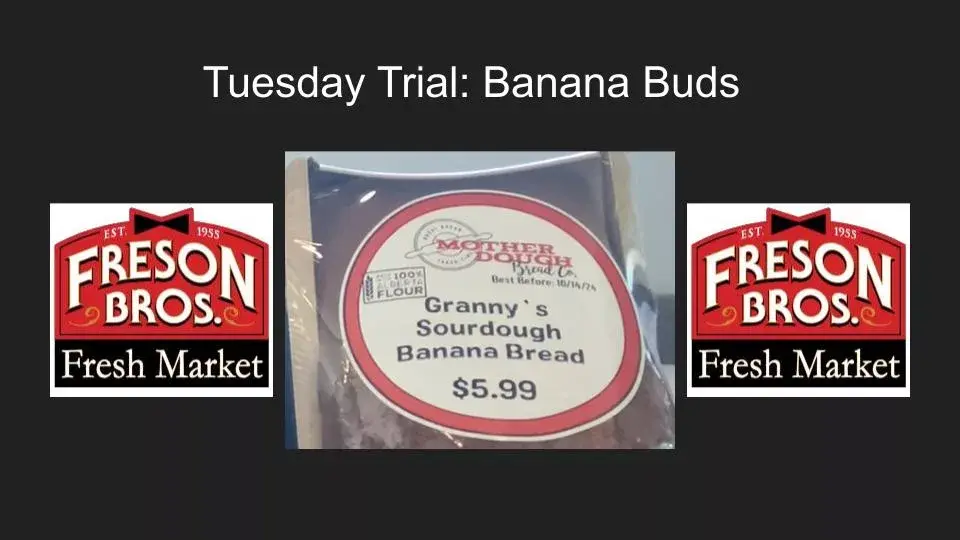 tuesday-trial-17-jpg