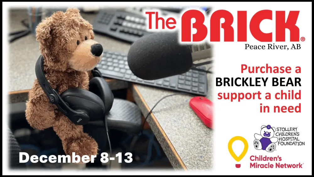 brickely-bear-flipper-2025