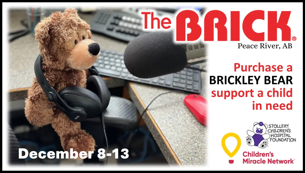 brickely-bear-flipper-2025