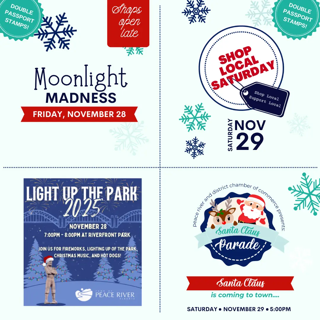 parade-light-up-shopping