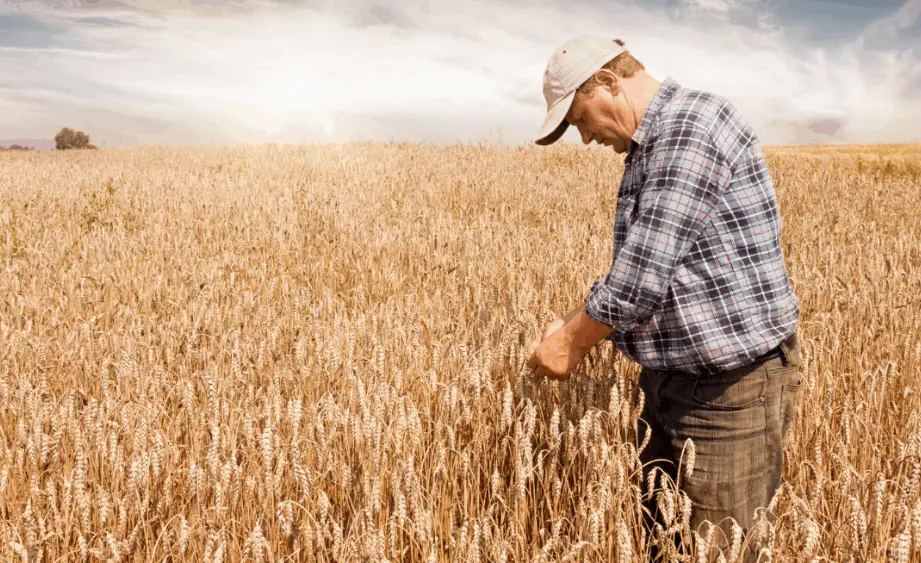 npara-in-the-know-do-more-ag-foundation