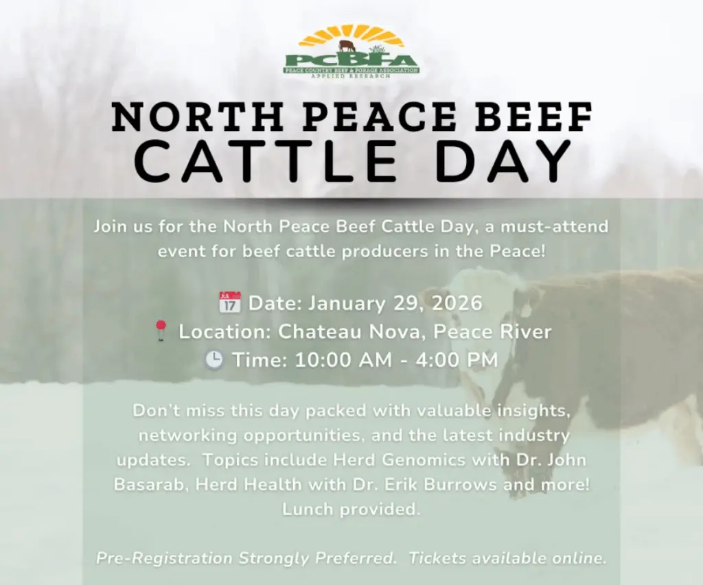 north-peace-beef-cattle-day
