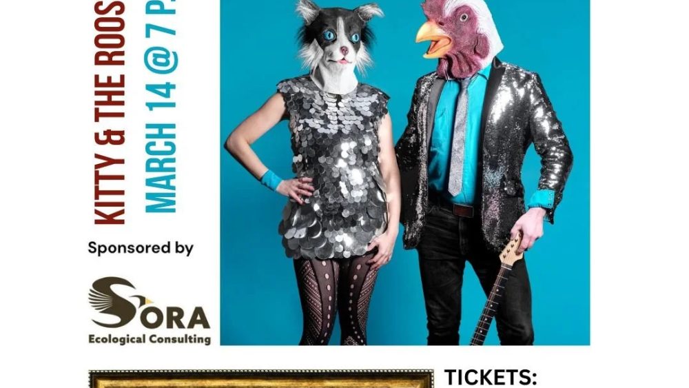 646531467_1732327538171385_4431457321239810760_n-webp-3