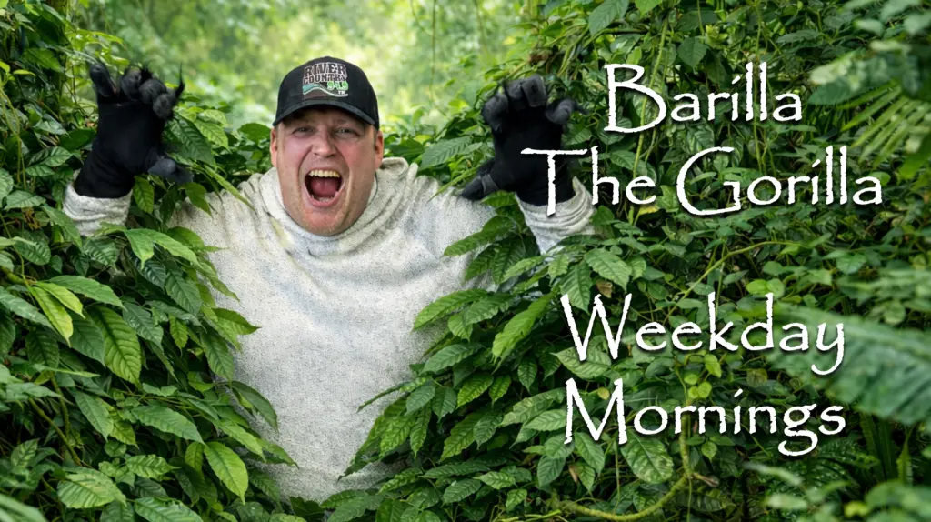 barilla-the-gorilla-slider