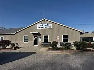 vincennes-animal-shelter-may-2025