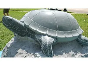 minooteeni-turtle