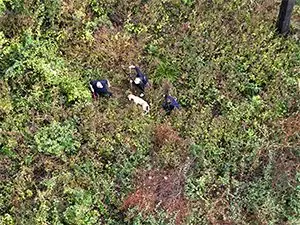 dog-rescue