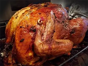 thanksgiving-turkey_motion-array