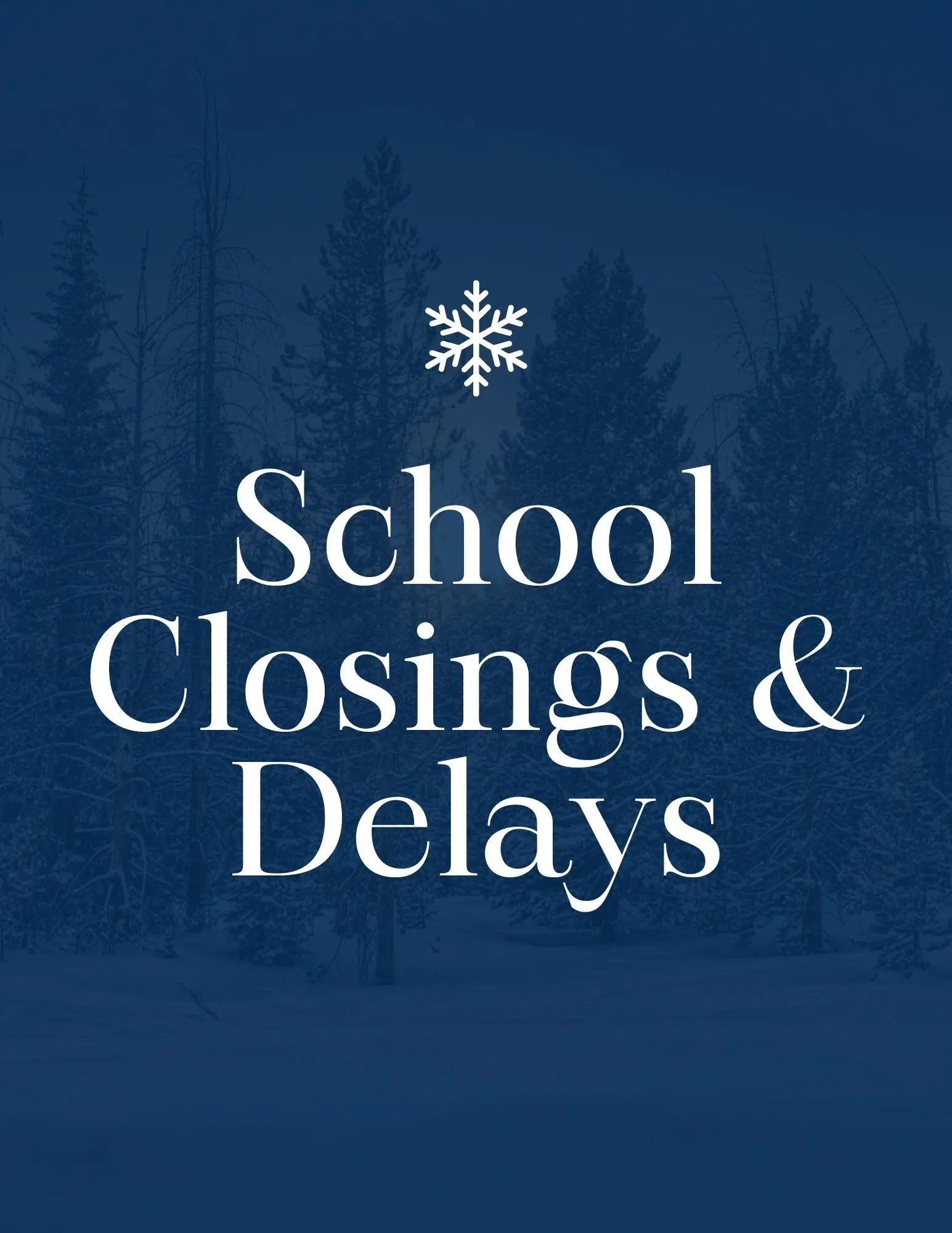 blue-modern-snow-closure-flyer