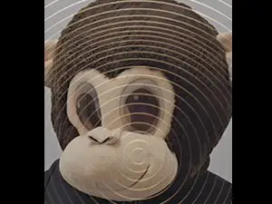 masked-monkey-2
