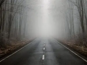 foggy-road-2-mid-winter-no-snow-_bt