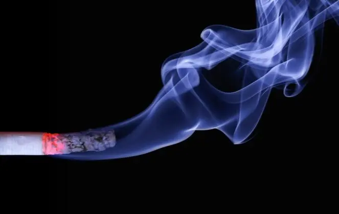 ash-burning-cigar-70088-663x420