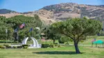 Funeral, Cremation & Cemetery Pierce Brothers Valley Oaks