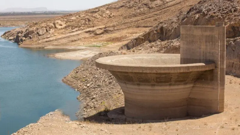 d0046db3-dc01-4157-8d2b-08ddfa9117a6_w800_h450814438