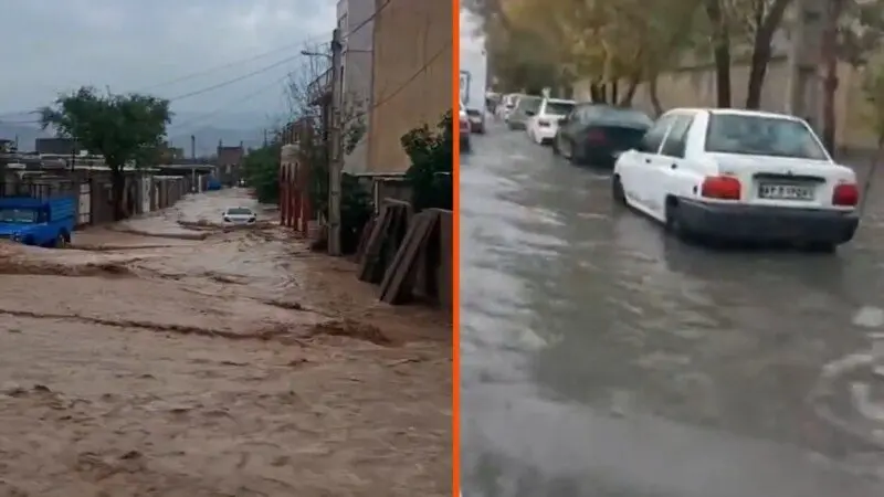 6f7dd3df-0800-4af6-a316-08ddfa911745_tv_w800_h450850333