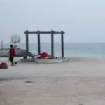 a2cc84c3-bf09-4894-1b56-08de31b52ade_cx8_cy1_cw81_w800_h450175947