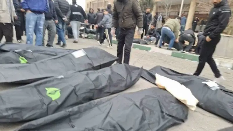 22473dce-6314-4ae5-ea1b-08de3c642a37_tv_w800_h45020144