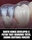 Researchers at Seoul National University have developed a microneedle patch capable of naturally regrowing teeth