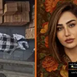 377c9247-9452-4624-3b23-08de3c92853e_tv_w800_h450236968