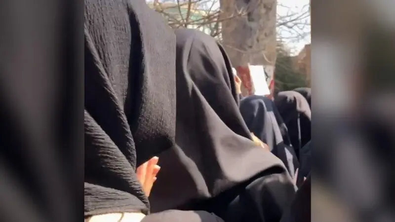 b4f09898-cc5a-4f6a-3be6-08de3c92853e_tv_w800_h450456707