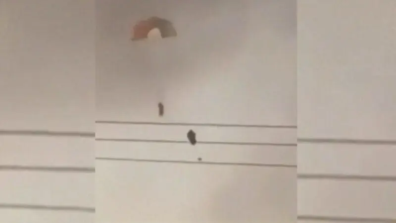 7790cd99-cb81-4c6d-3da1-08de3c92853e_w800_h450826519