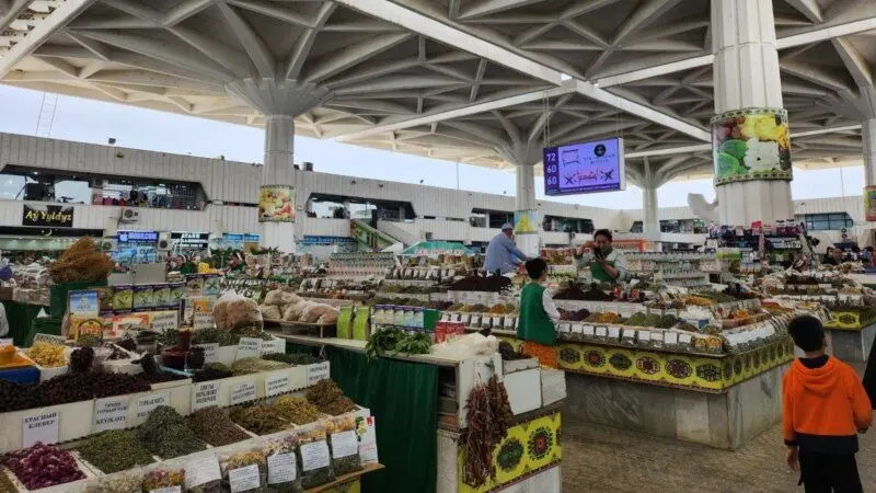 01000000-0aff-0242-011d-08dc83b2a64c_cx0_cy18_cw0_w800_h45067769