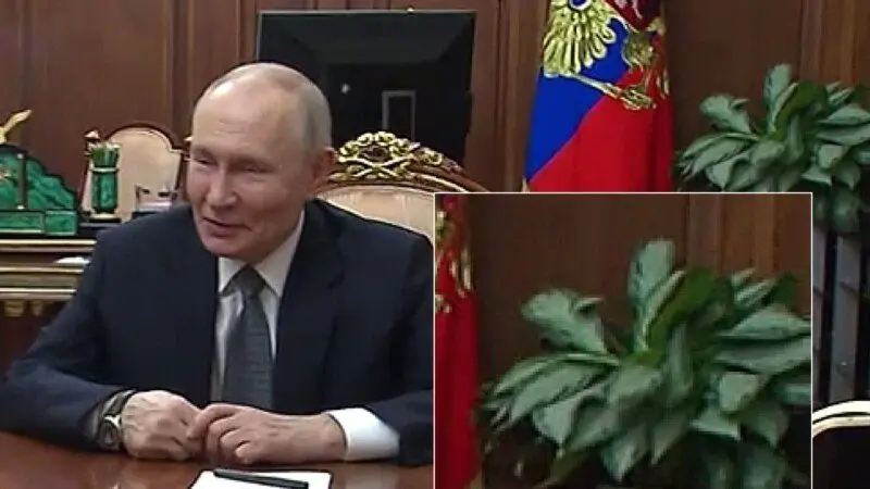 ecf4b0df-2d84-4c06-3220-08de3be37656_w800_h450144419