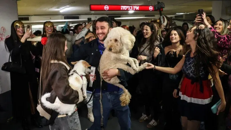 b2aa3e8d-0c59-4535-cc18-08de3c914337_tv_w800_h45084442