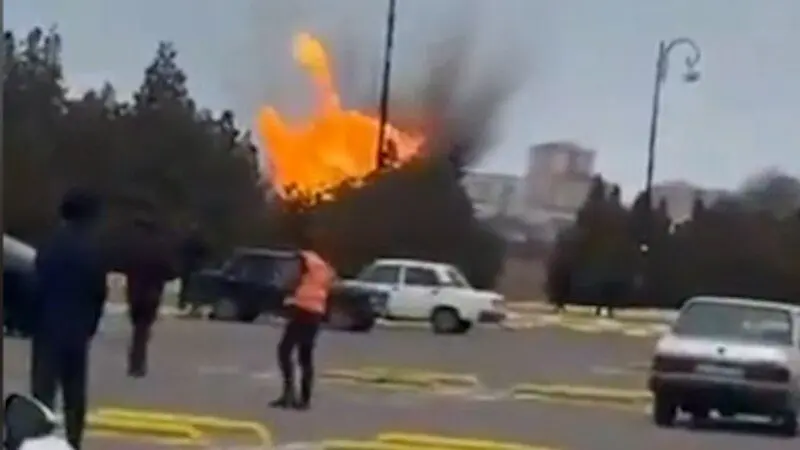 d9f27c00-2524-44e2-10a8-08de3bed1b27_cx24_cy20_cw55_w800_h450217159