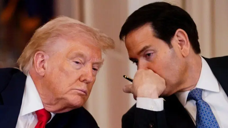 78baad87-16e6-4a35-ac17-70f91a707e46_cx0_cy3_cw0_w800_h450543718